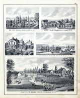 G.R. Westfall, Halver Osmonsen, H.R. Conklin Residence, H. Thayer, J.B. Moore Farm, Grundy County 1874